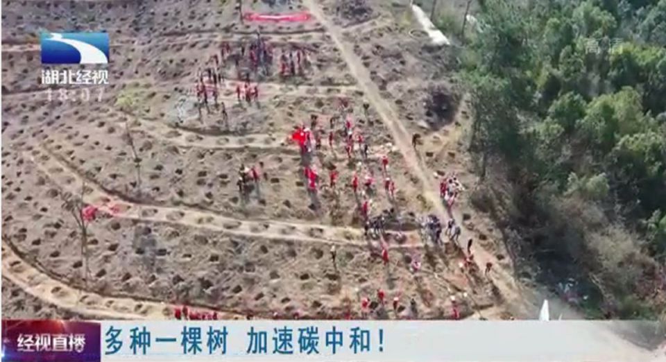 ��ҳ| ���������й��ٷ���վ