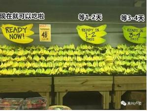 ��ҳ| ���������й��ٷ���վ