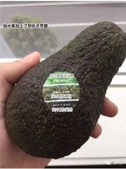 ��ҳ| ���������й��ٷ���վ