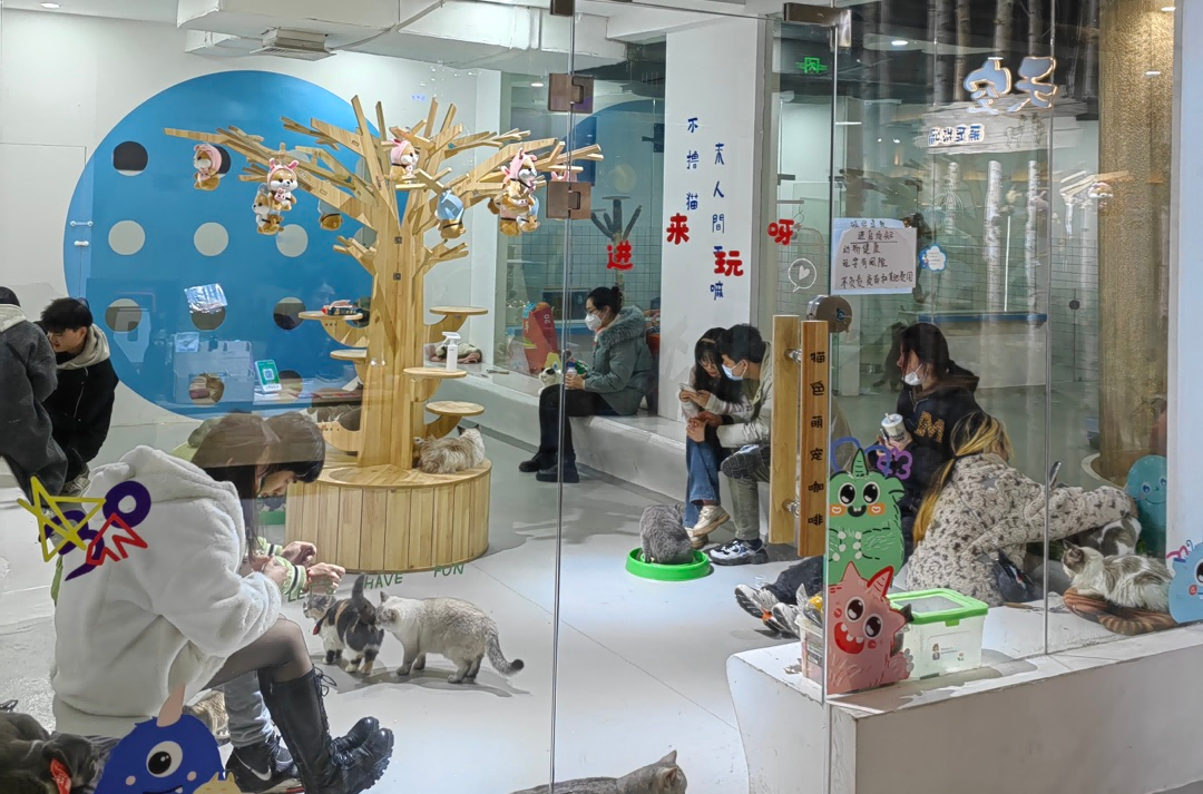 ��ҳ| ���������й��ٷ���վ