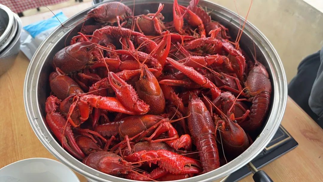 ��ҳ| ���������й��ٷ���վ