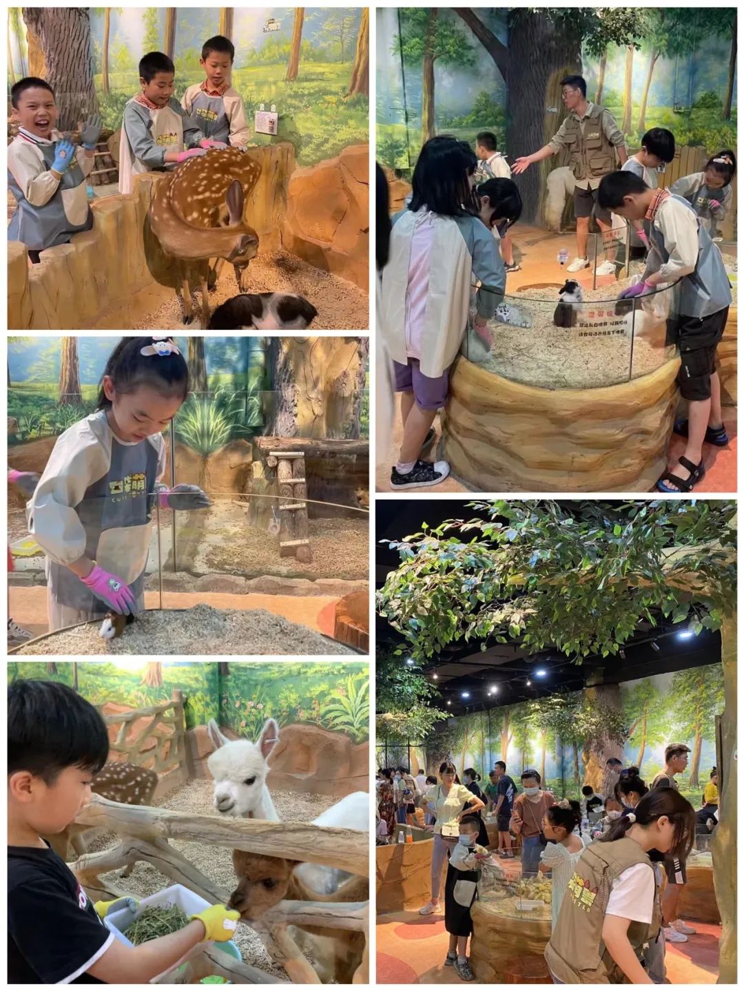 首页| 尊龙集团中国官方网站