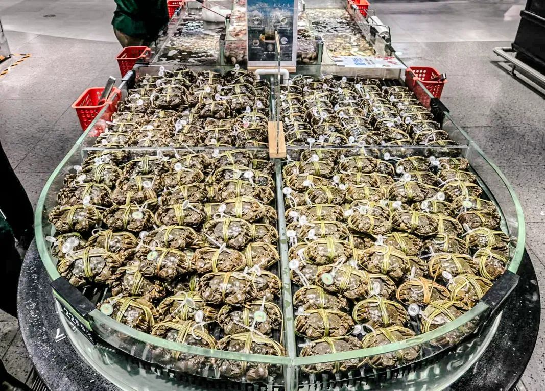 首页| 尊龙集团中国官方网站