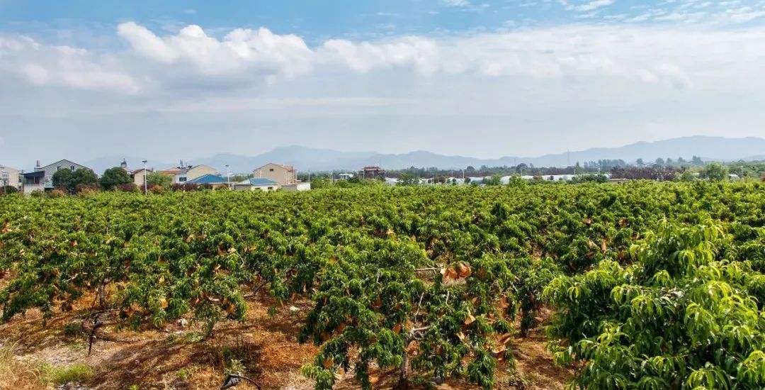 Ê×Ò³| ×ðÁú¼¯ÍÅÖйú¹Ù·½ÍøÕ¾