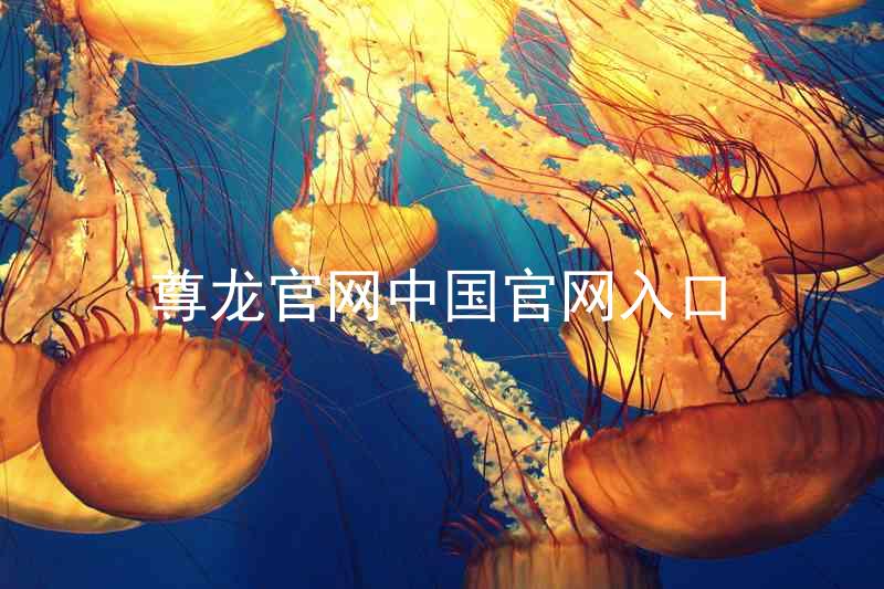 尊龙官网中国官网入口