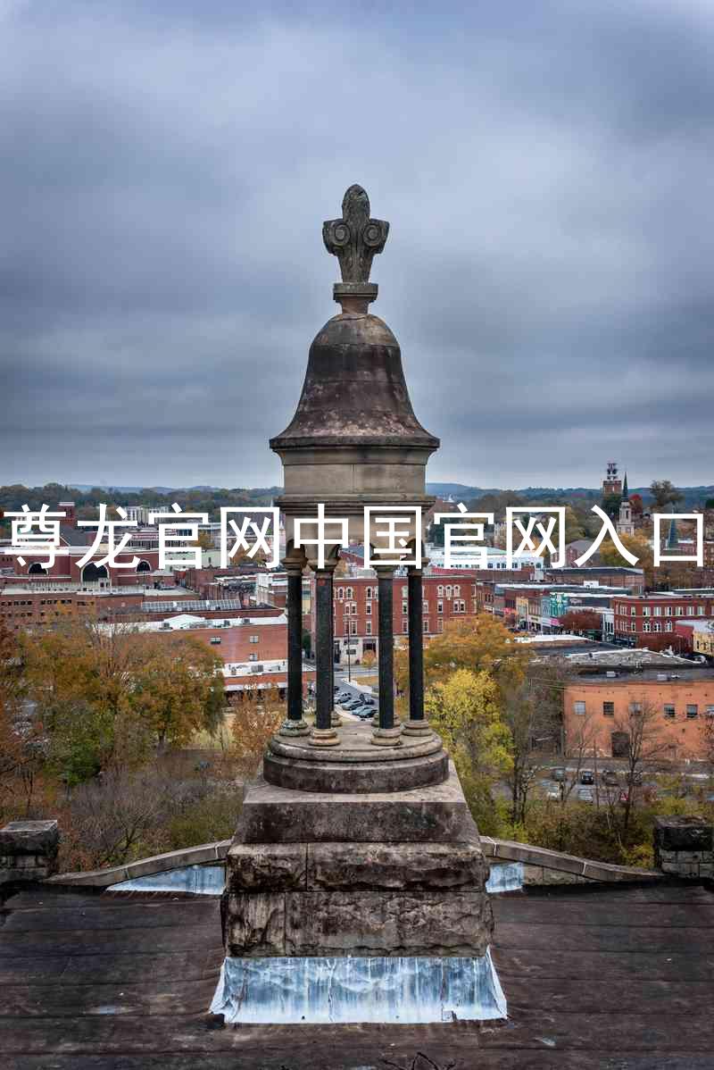 尊龙官网中国官网入口