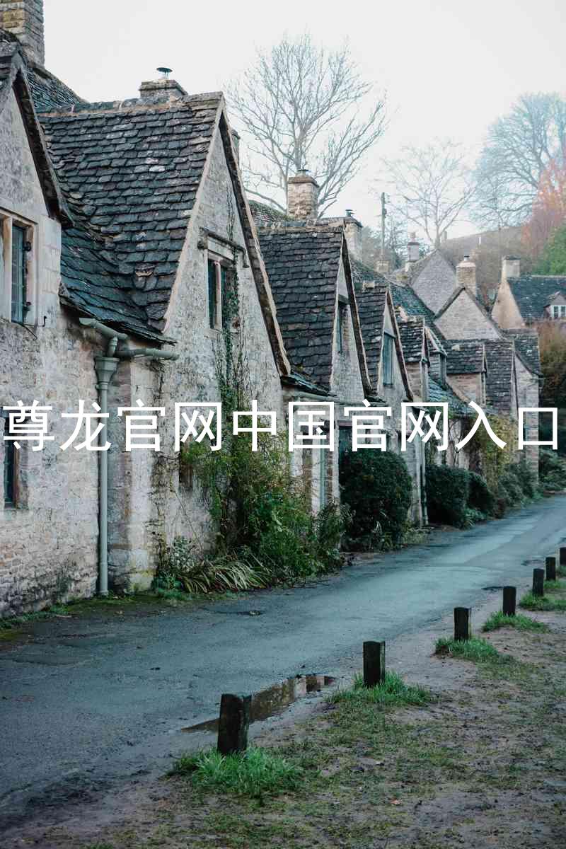 尊龙官网中国官网入口